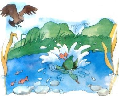 racconti di animali