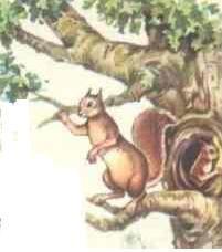 racconti di animali