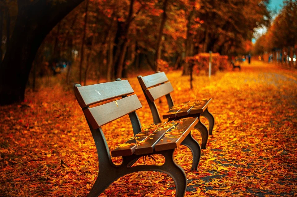 Poesia di Ada Negri  Sole d'Ottobre