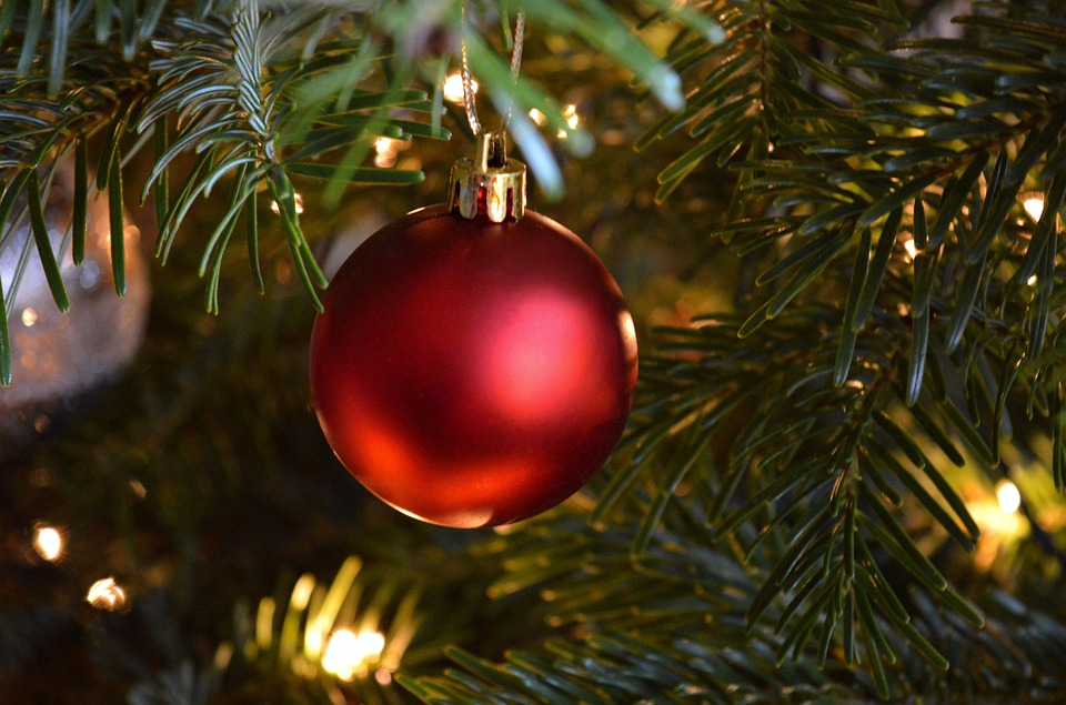 Poesia di Roberto Piumini - L'albero di Natale