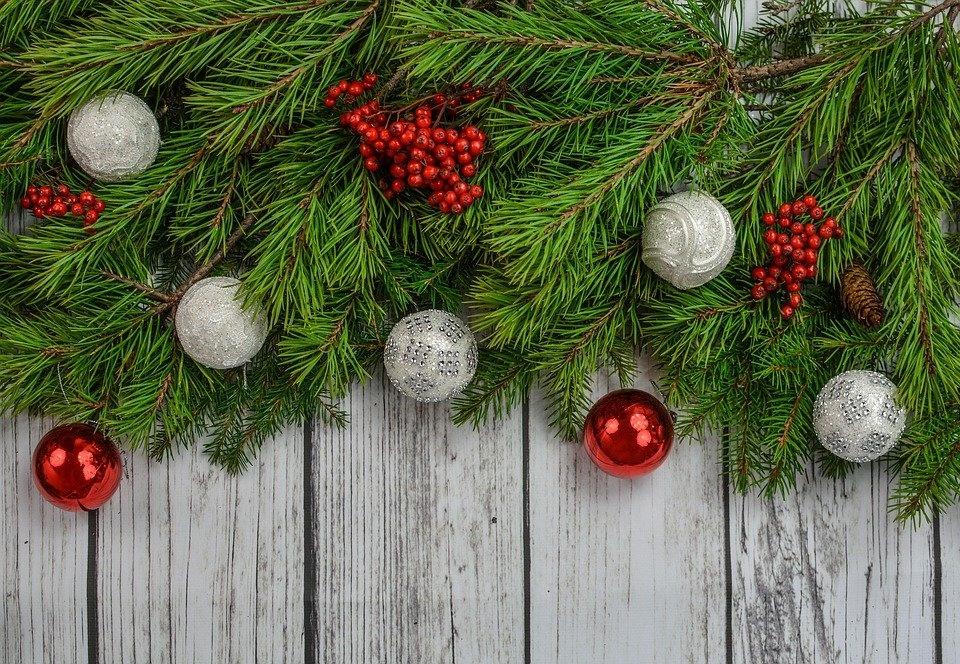Racconto di Hans Cristian Andersen L'albero di Natale