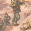 Alpini