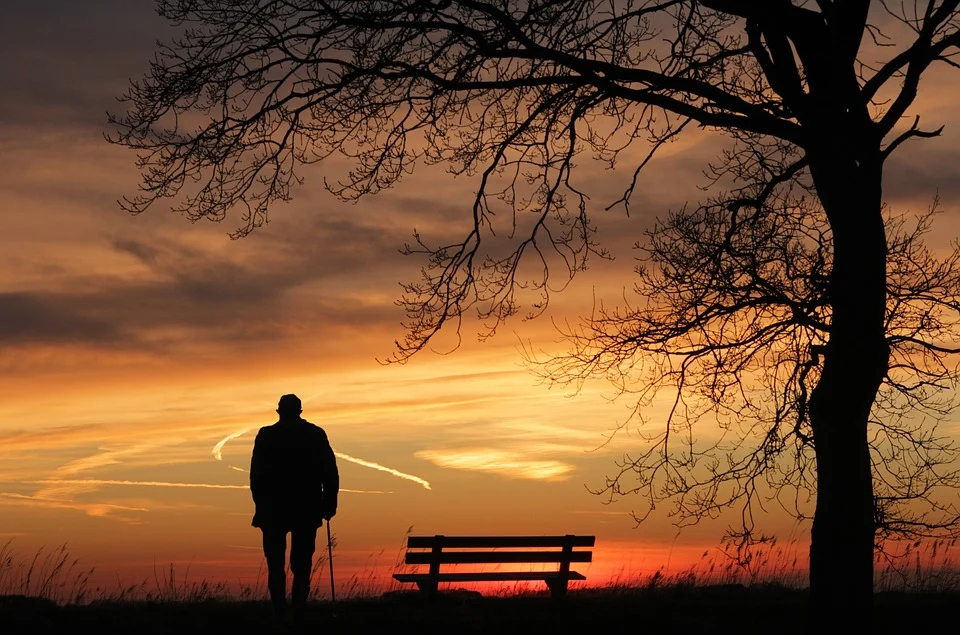 Poesia di Massimo Bena Il frutto della Pace