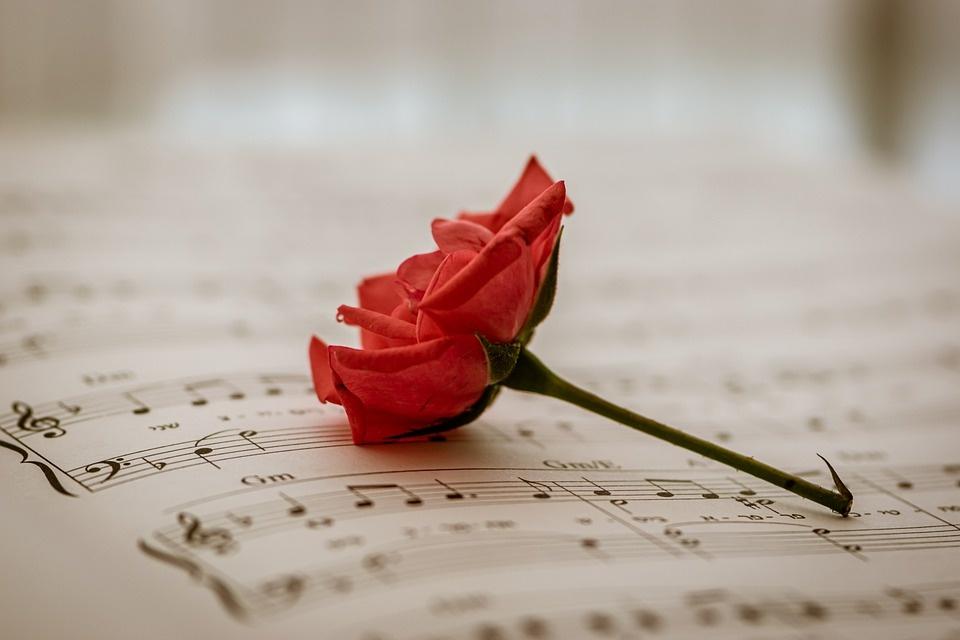 Poesia di Rosalba Amato Sine die