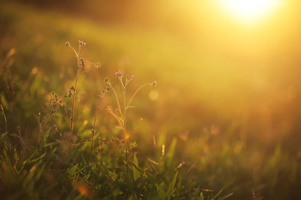 Poesia La luce di Vincenzo Fiaschitello 