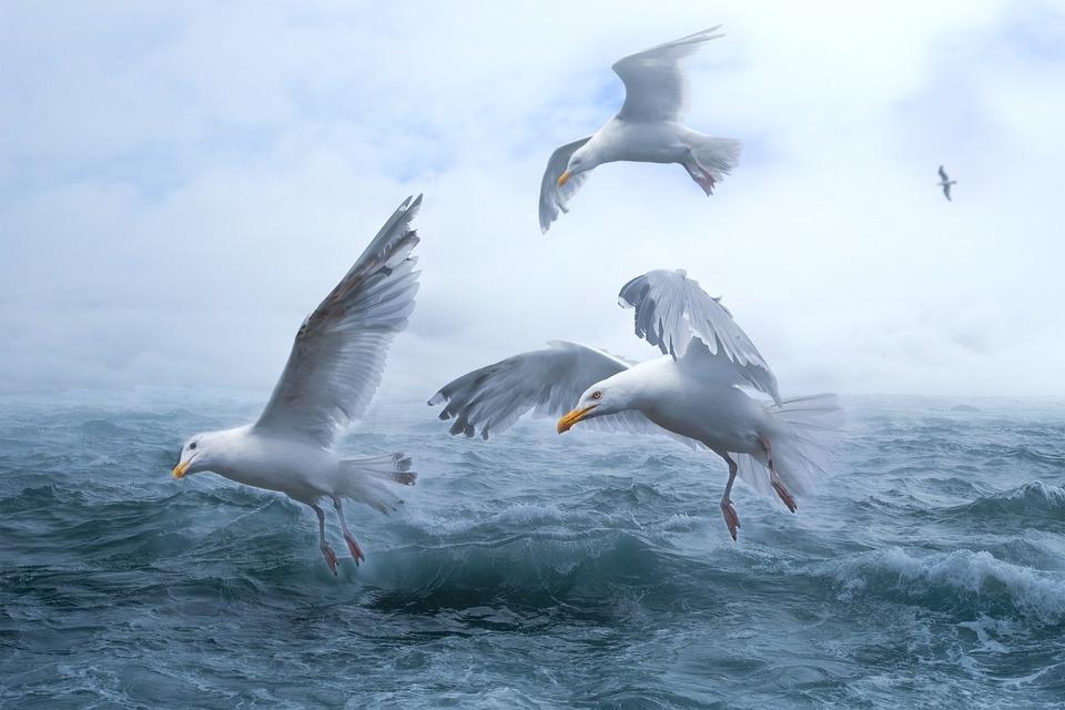 Poesia di Vincenzo Fiaschitello Mare