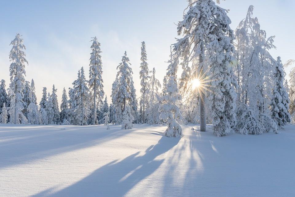 Poesia di Ada Negri - Cade la neve: Tutt'intorno è  pace