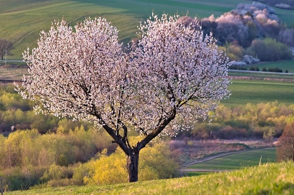 Poema di Pasqua di Alda Merini